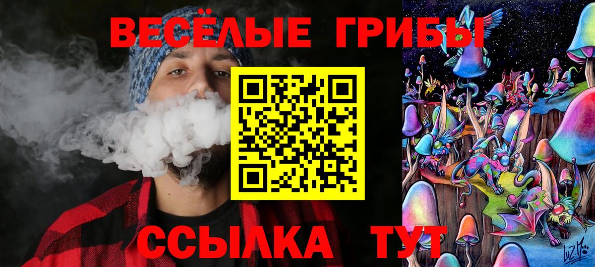 Псилоцибиновые грибы мицелий Ступино