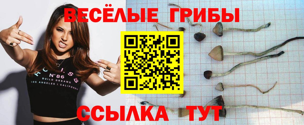 Ступино  Галлюциногенные грибы Magic Shrooms  Вход с VPN  Псилоцибиновые грибы Cubensis 