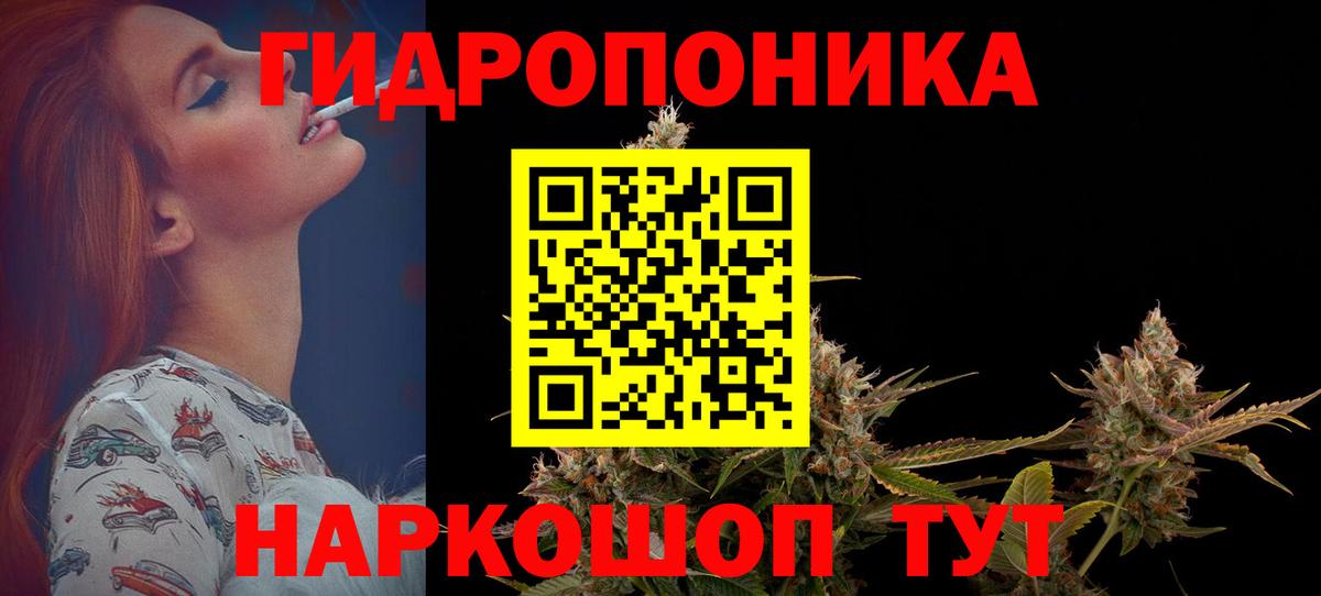 Бошки Шишки конопля Ступино